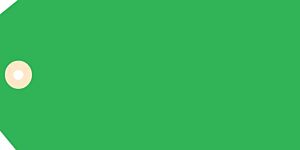 CSU-5134 Blank Tags - Green