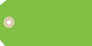 CSU-5139 Blank Tags - Light Green