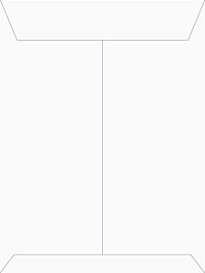 ENV-9839-B Tyvek Envelopes (blank) (back) 